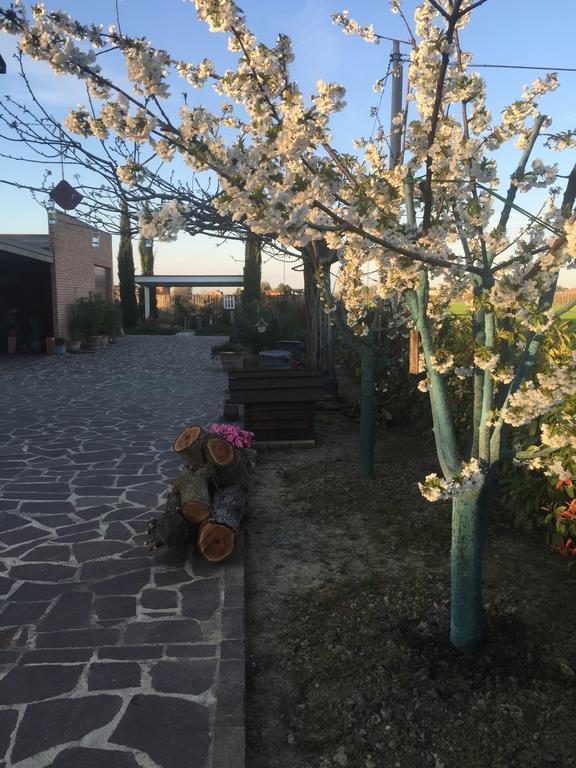 Dolce Casetta Faenza Exterior foto